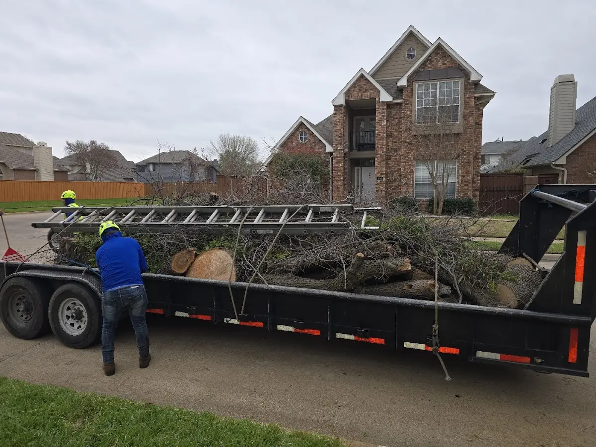 Expert Tree Fertilization with proper safety equipment in Porum